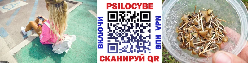 Псилоцибиновые грибы Magic Shrooms Починок